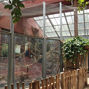 Dschungel Abenteuer - One of three chimpanzee indoor exhibits, 2024-08-05