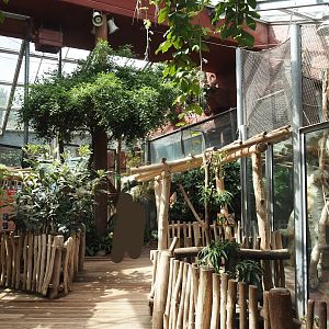 Dschungel Abenteuer - Walkway in area with chimpanzee indoor exhibits, 2024-08-05