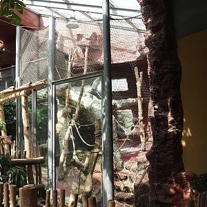 Dschungel Abenteuer - One of three chimpanzee indoor exhibits, 2024-08-05