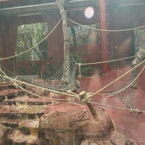 Dschungel Abenteuer - One of three chimpanzee indoor exhibits, 2024-08-05