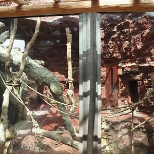 Dschungel Abenteuer - One of three chimpanzee indoor exhibits, 2024-08-05