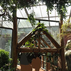 Dschungel Abenteuer - Visitor walkway and chimpanzee crossing between indoor exhibits, 2024-08-05