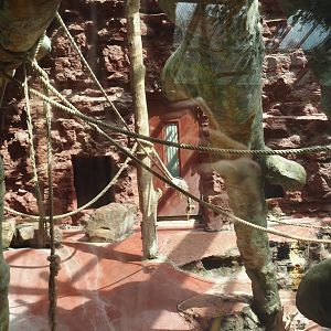 Dschungel Abenteuer - One of three chimpanzee indoor exhibits, 2024-08-05