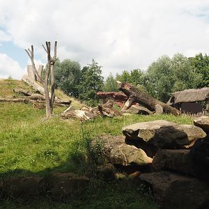 Dschungel Abenteuer - View onto chimpanzee island, 2024-08-05