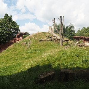 Dschungel Abenteuer - View onto chimpanzee island, 2024-08-05