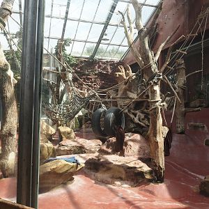 Dschungel Abenteuer - One of three chimpanzee indoor exhibits, 2024-08-05