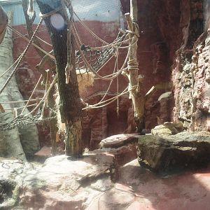 Dschungel Abenteuer - One of three chimpanzee indoor exhibits, 2024-08-05