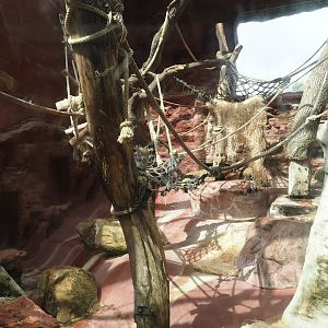 Dschungel Abenteuer - One of three chimpanzee indoor exhibits, 2024-08-05