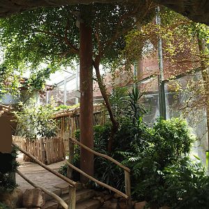 Dschungel Abenteuer - Walkway in area with chimpanzee indoor exhibits, 2024-08-05