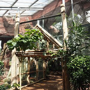 Dschungel Abenteuer - Walkway in area with chimpanzee indoor exhibits and chimpanzee crossing, 2024-08-05