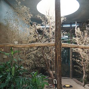 Dschungel Abenteuer - Aviary for small African birds, 2024-08-05