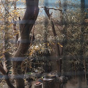 Dschungel Abenteuer - Aviary for small African birds, 2024-08-05