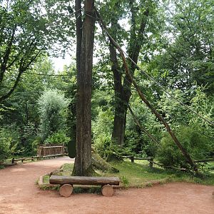 Red ruffed lemur walk-through island, 2024-08-05