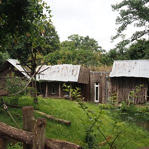 Red ruffed lemur walk-through island, 2024-08-05