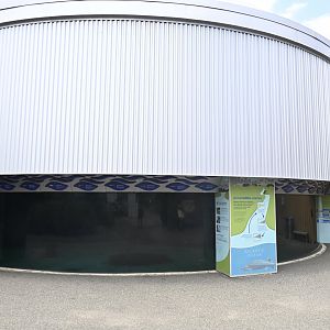 Atlantic Sturgeon Tank