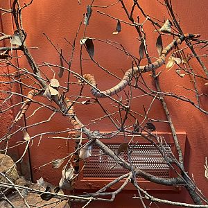 Reptile and Amphibian House