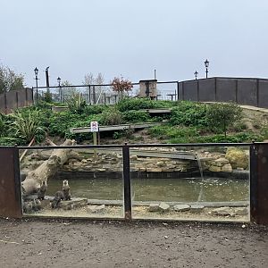 New ASCO Enclosure - bottom view