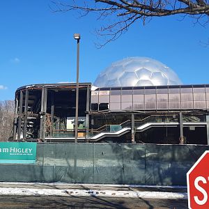 The RainForest Demolition - 12/13