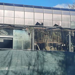 The RainForest Demolition - 12/13 - Tree stairs and elevator