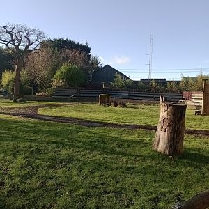 World of Birds show arena