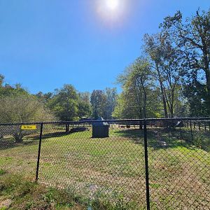 Chestatee Zoo - Wolf exhibit