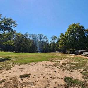 Chestatee Zoo - Emu exhibit