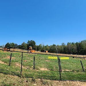 Chestatee Zoo - Grizzly/Black Bear exhibit