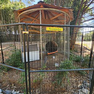 Chestatee Zoo - Patagonian Mara enclosure