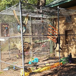 Chestatee Zoo - Primate cage example