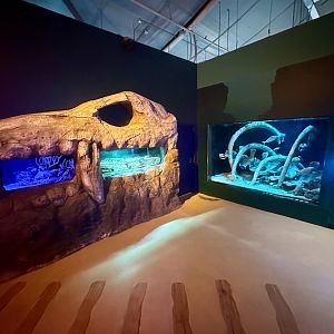 Jurassic Seas Precinct (Exhibits)