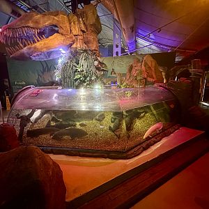 Jurassic Seas Precinct (Main Exhibit)