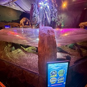 Jurassic Seas Precinct (Main Exhibit)