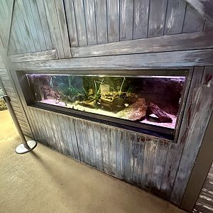 Sydney Harbour Exhibit