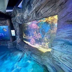 Sydney Harbour Exhibit