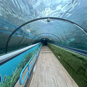 Dugong Tunnel