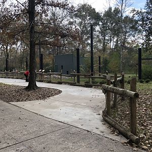 New Birds of Prey Aviary