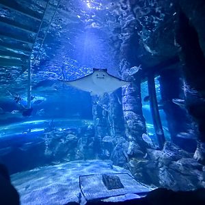 Shark Valley Exhibit