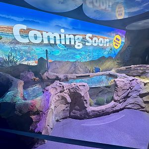 Coming Soon - Rockpool Zone
