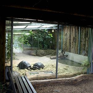 Duisburg Zoo - Giant tortoise house