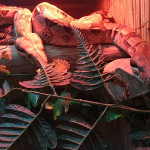 Some Photos of Animals At Mediterraneo Marine Park, Malta