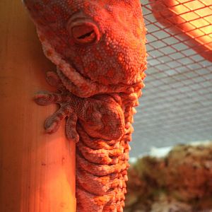 Some Photos of Animals At Mediterraneo Marine Park, Malta