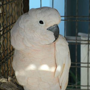 Some Photos of Animals At Mediterraneo Marine Park, Malta