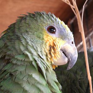 Some Photos of Animals At Mediterraneo Marine Park, Malta