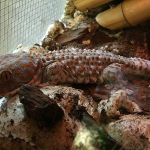 Some Photos of Animals At Mediterraneo Marine Park, Malta