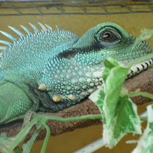 Some Photos of Animals At Mediterraneo Marine Park, Malta