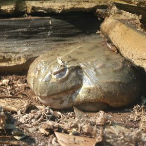 Some Photos of Animals At Mediterraneo Marine Park, Malta
