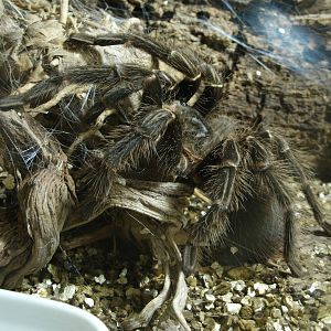 Some Photos of Animals At Mediterraneo Marine Park, Malta