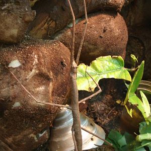 Some Photos of Animals At Mediterraneo Marine Park, Malta