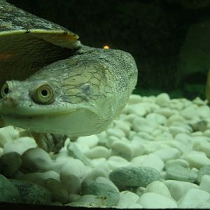 Some Photos of Animals At Mediterraneo Marine Park, Malta