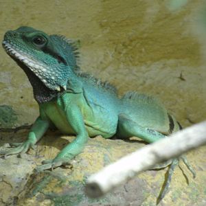 Some Photos of Animals At Mediterraneo Marine Park, Malta